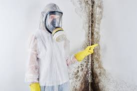 Best Water Damage & Mold Remediation  in Choccolocco, AL